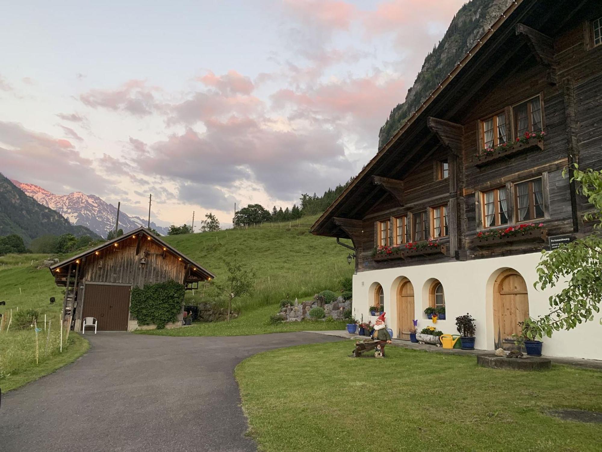Holiday Home Reindli By Interhome Innertkirchen Zewnętrze zdjęcie
